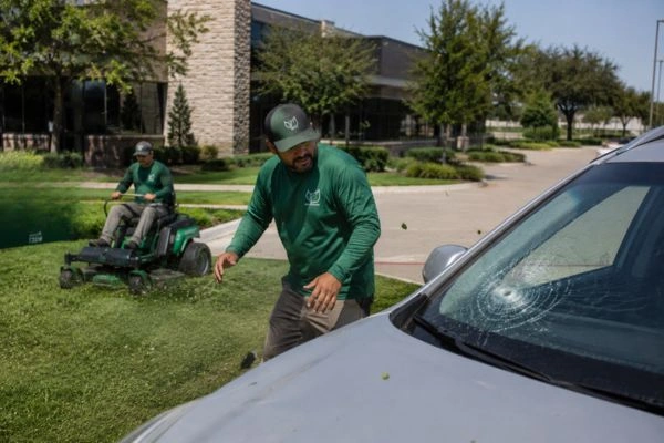 Accidente de responsabilidad civil por daños a vehículos estacionados en trabajos de jardinería